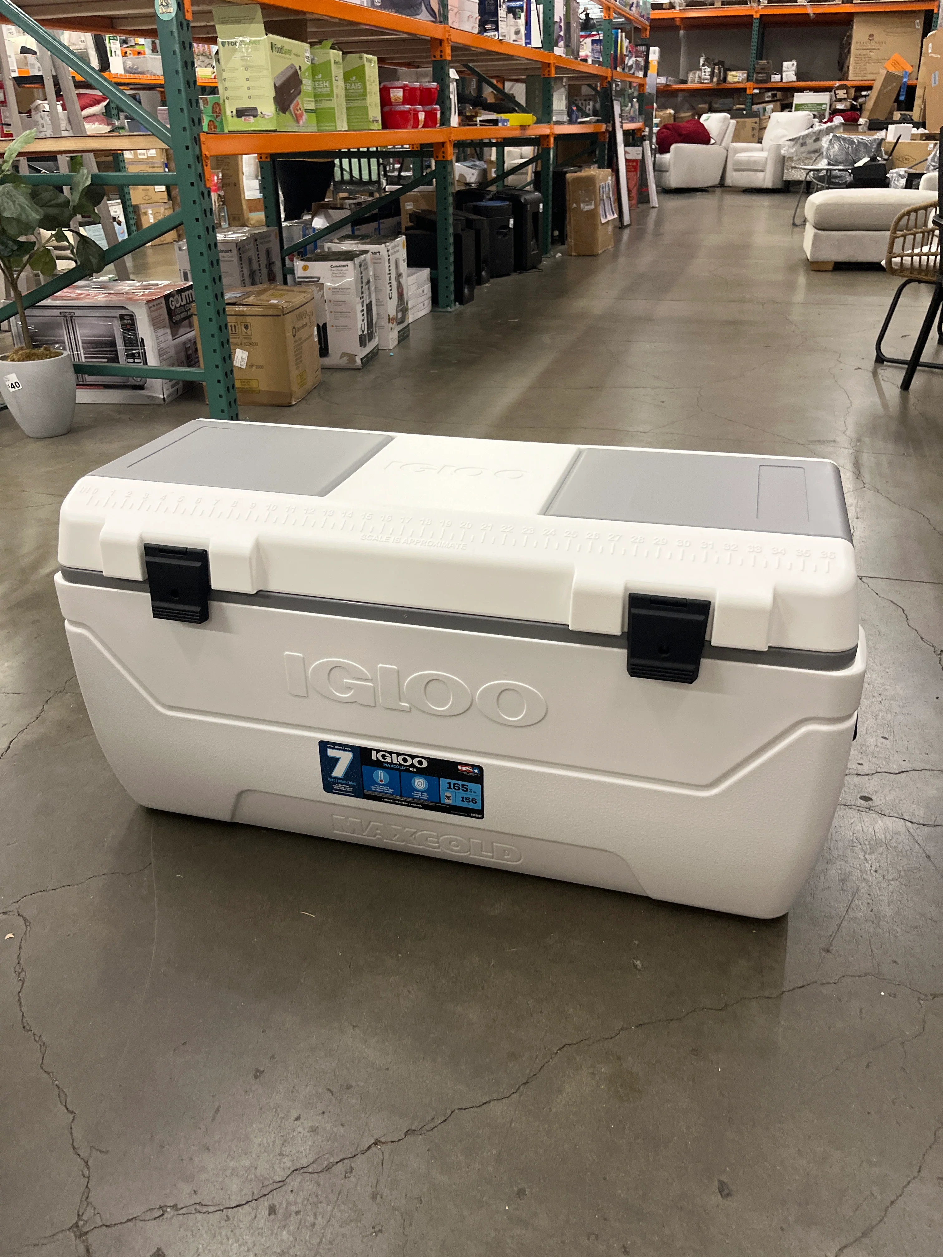 Igloo 165-quart Maxcold Chest Cooler with Butterfly Quick Access Hatch - Image 5