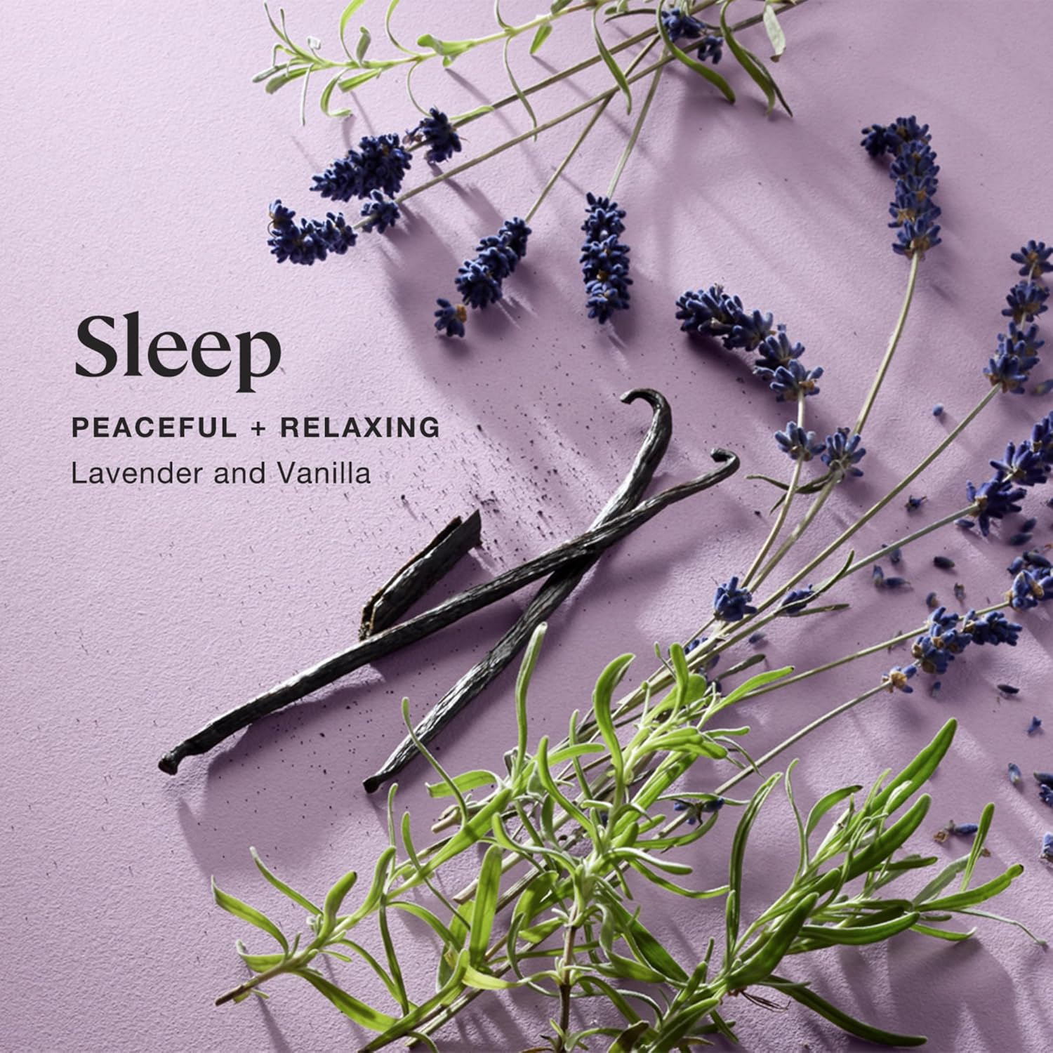 Sprig by Kohler Sleep Aromatherapy Candle with Lavender and Vanilla, 100% Natural Soy-Coconut Wax, 8 oz - Image 2