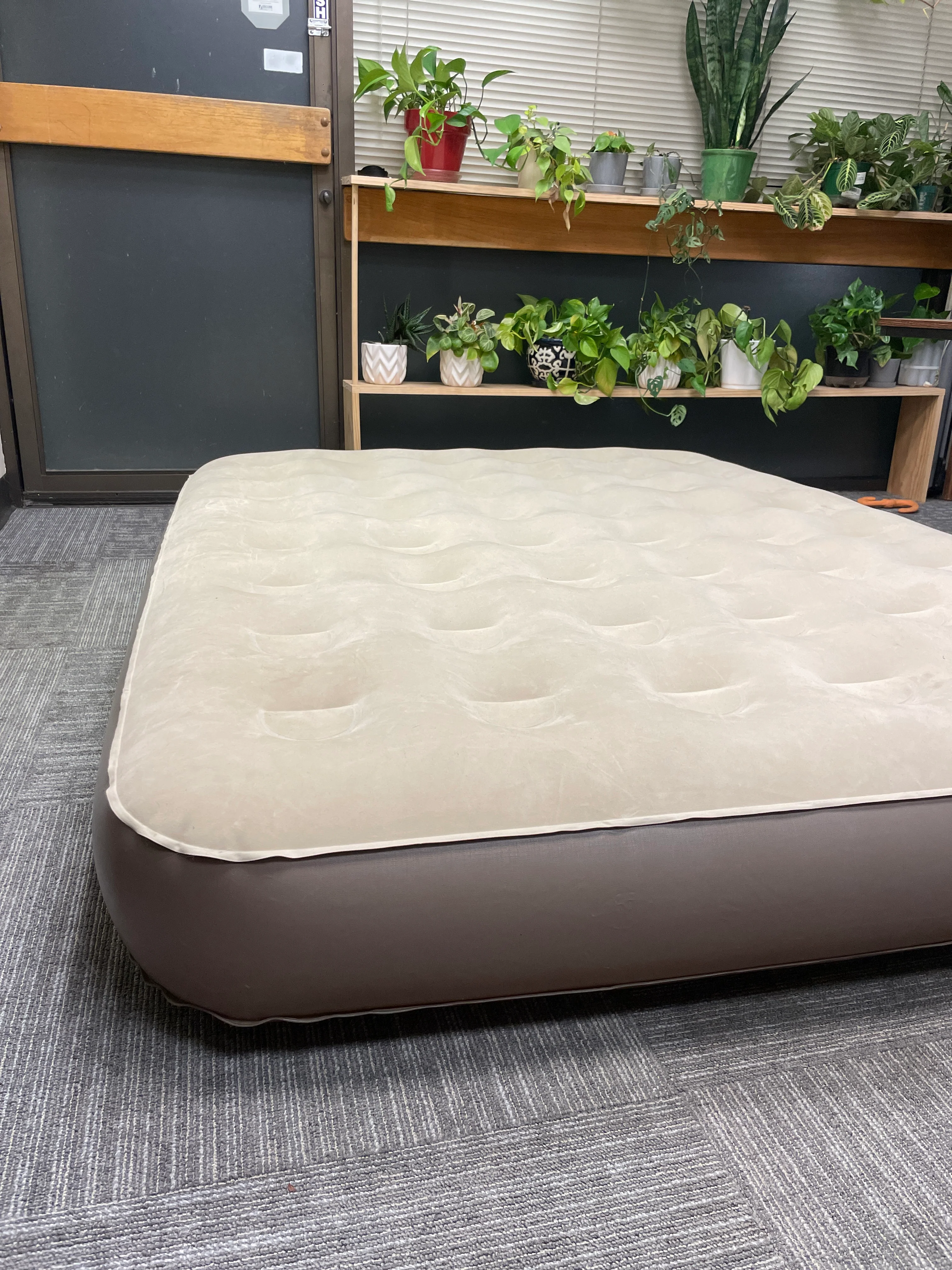 Coleman QUEEN Quickbed Elite Extra High Airbed - Retail $59 - Image 4