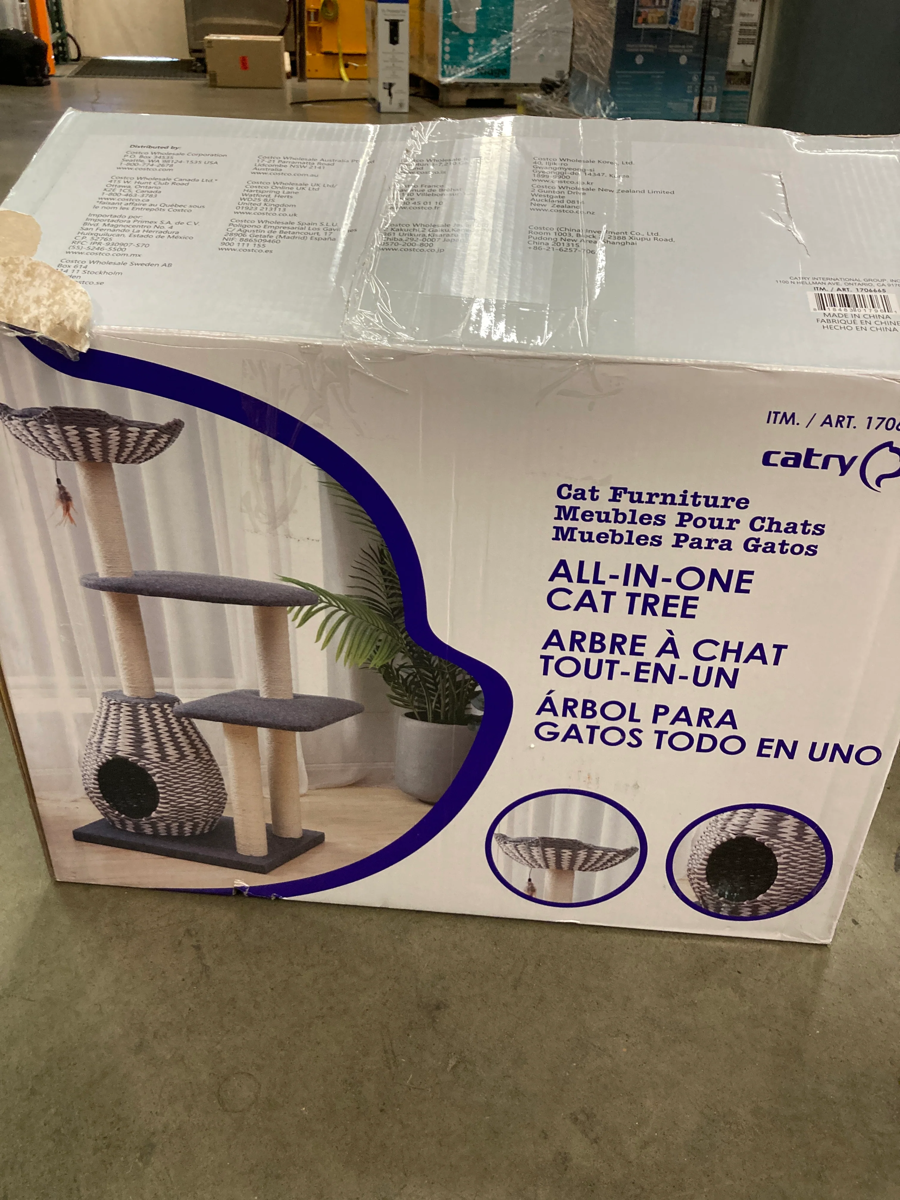 Catry Ace 49" - Image 3