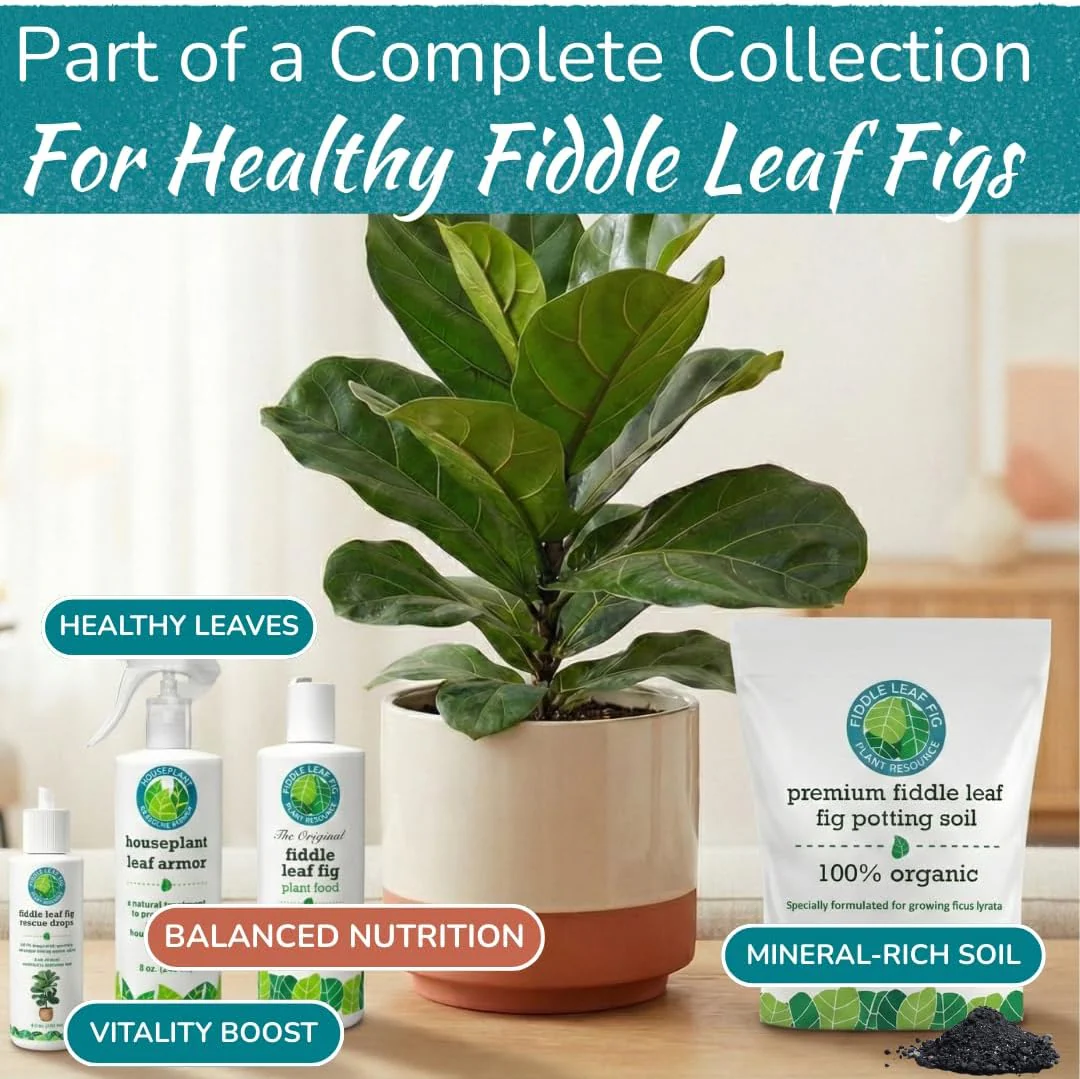 Fiddle Leaf Fig Plant Food – 3‑1‑2 Balanced NPK Liquid Fertilizer for Larger Leaves, Stronger Roots & Steady, Vibrant Growth | Suitable for All Ficus Including Ficus Lyrata | Made in USA | 8 oz - Image 6