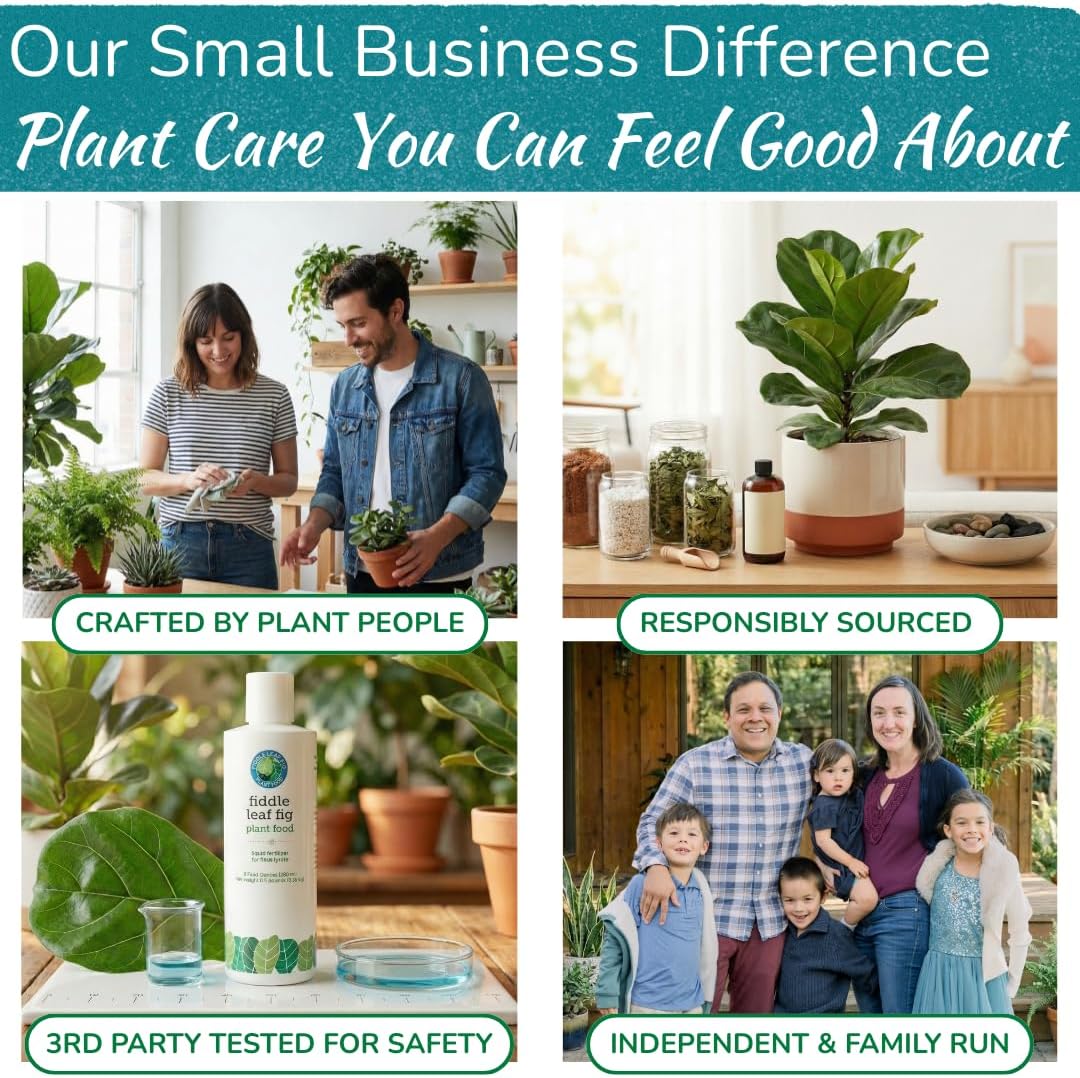 Fiddle Leaf Fig Plant Food – 3‑1‑2 Balanced NPK Liquid Fertilizer for Larger Leaves, Stronger Roots & Steady, Vibrant Growth | Suitable for All Ficus Including Ficus Lyrata | Made in USA | 8 oz - Image 7