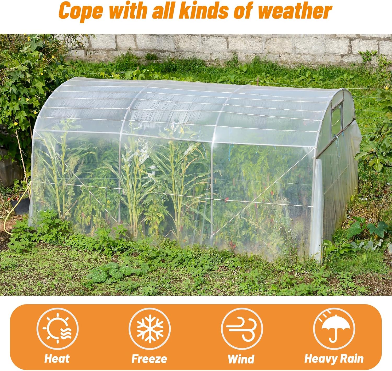 UNIFAMILY 6Mil Greenhouse Plastic Sheeting, Heavy Duty Greenhouse Covering Plastic, 9.8 x 6.5Ft Clear Green House Plastic Covering Film, Resistant Polyethylene Film for Farm Garden - Image 5