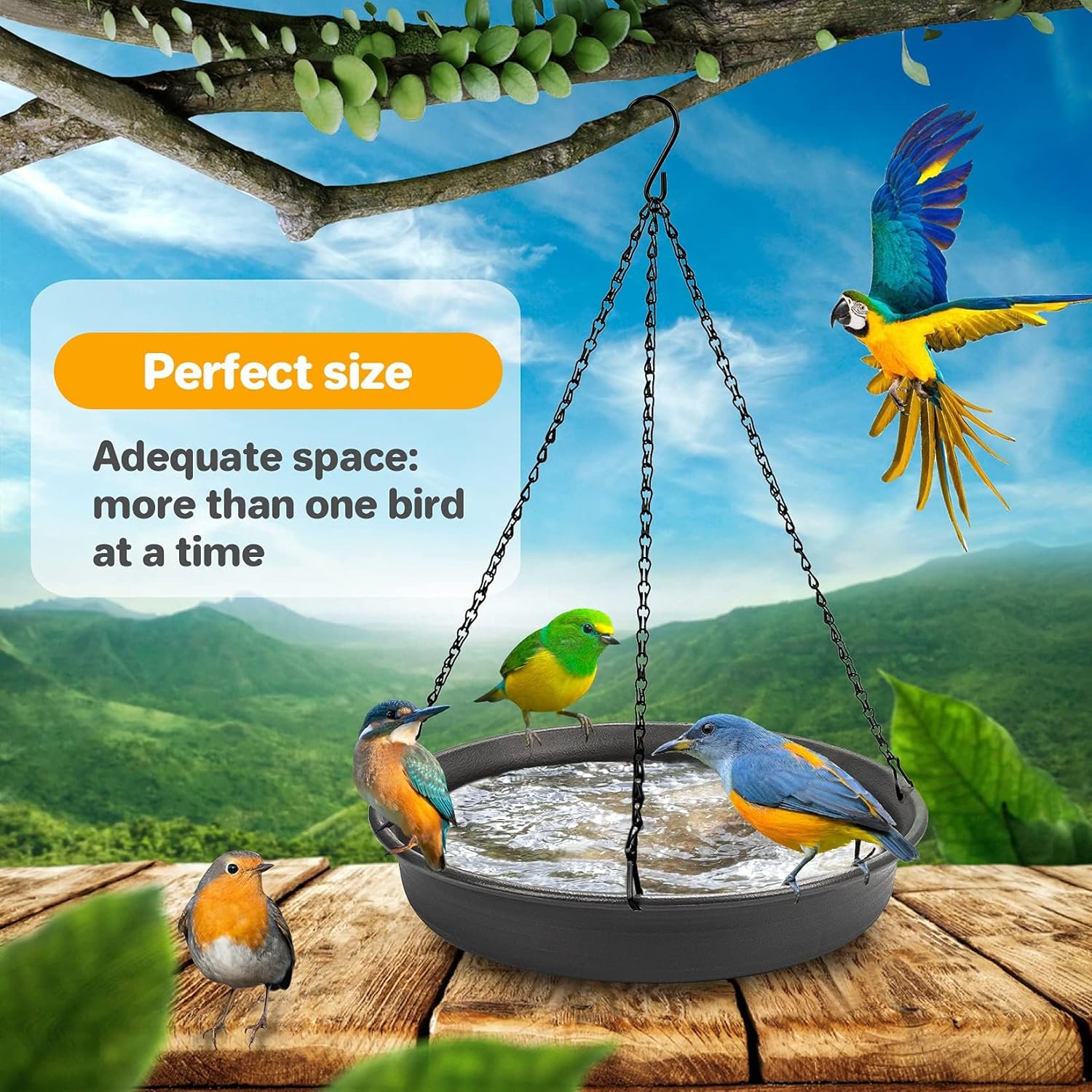 Hanging Bird Bath Hanging Bird-Feeder - CARGEN Garden BirdBath Tray Wildlife Feeder Plate Water Bowl or Water Bowl for Outdoors Garden Patio Decoration - Image 5