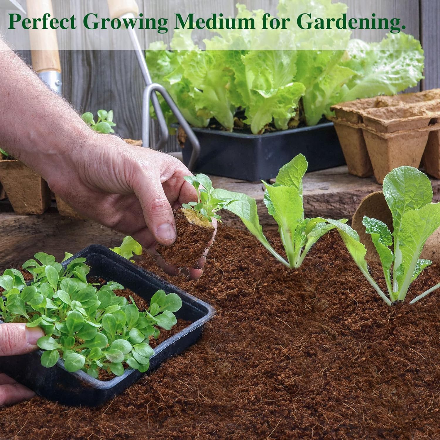 ZeeDix 9 Pack Premium Coco Coir Brick, Organic Compressed Coconut Coir Bricks Seed Starter Potting Soil for Plants, Coconut Fiber Substrate with Low EC & pH Balance for Gardening Flower Herbs - Image 7