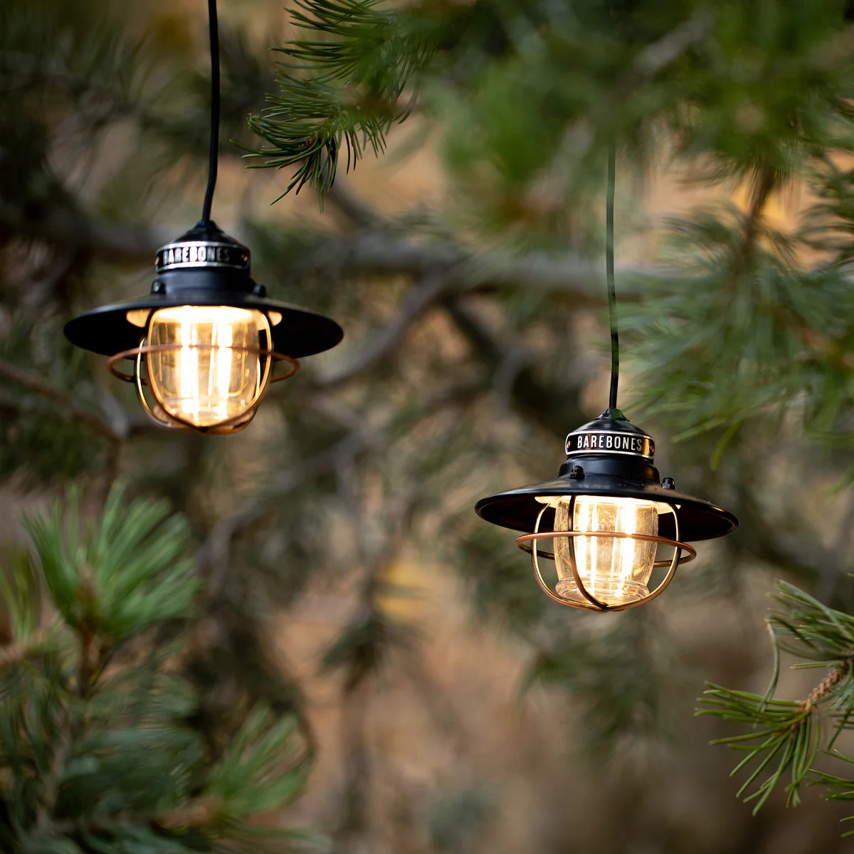 Barebones Edison Pendant String Lights, Bronze - Image 6