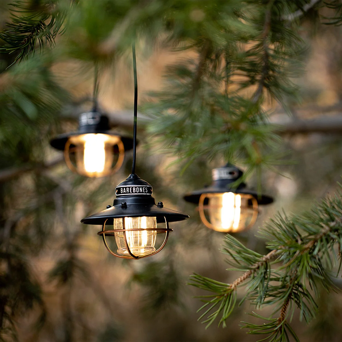 Barebones Edison Pendant String Lights, Bronze - Image 7