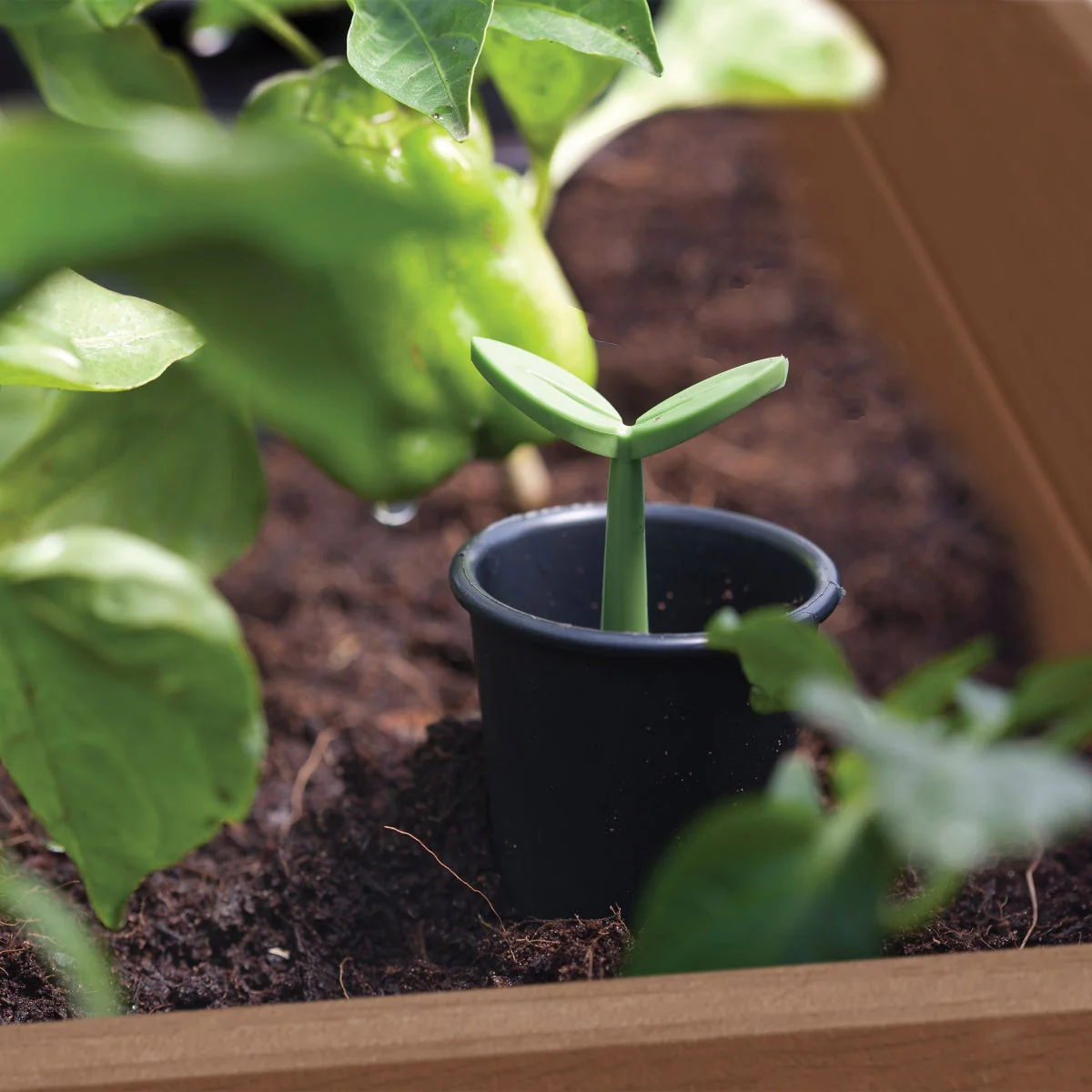 NEW - Walnut Elevated Garden Bed - Image 7
