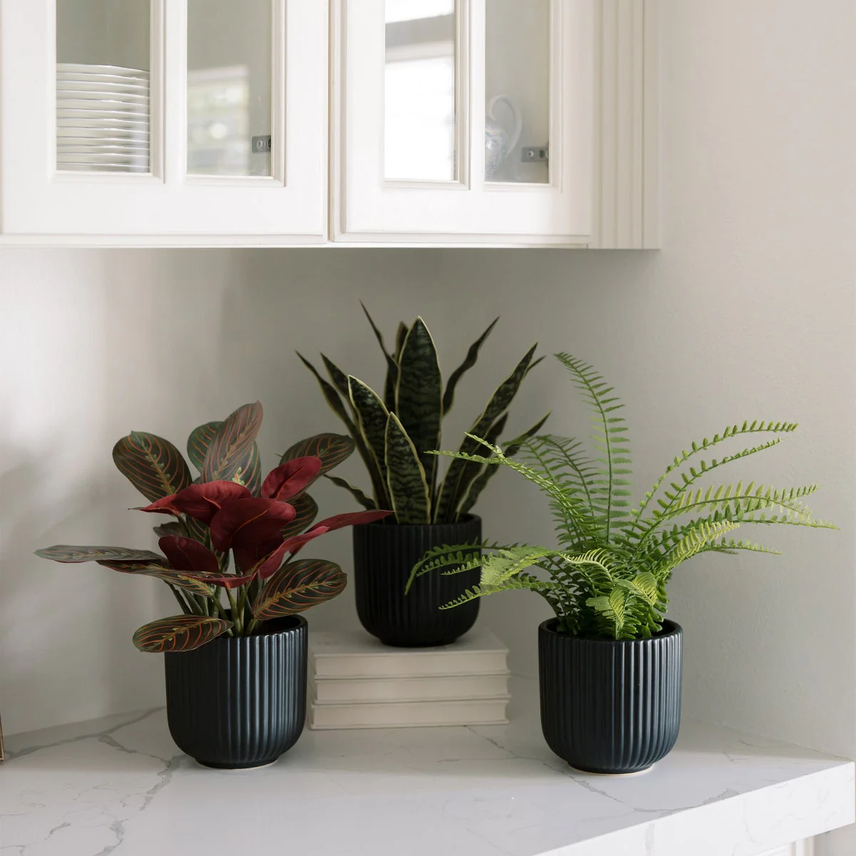 Faux Decorative Plant Trio - Image 3