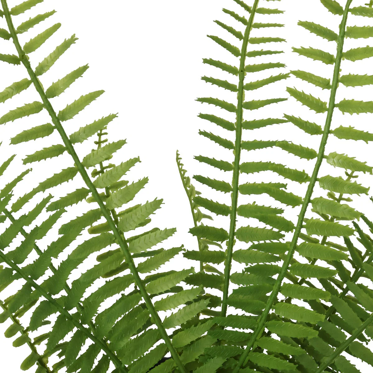 Faux Decorative Plant Trio - Image 4