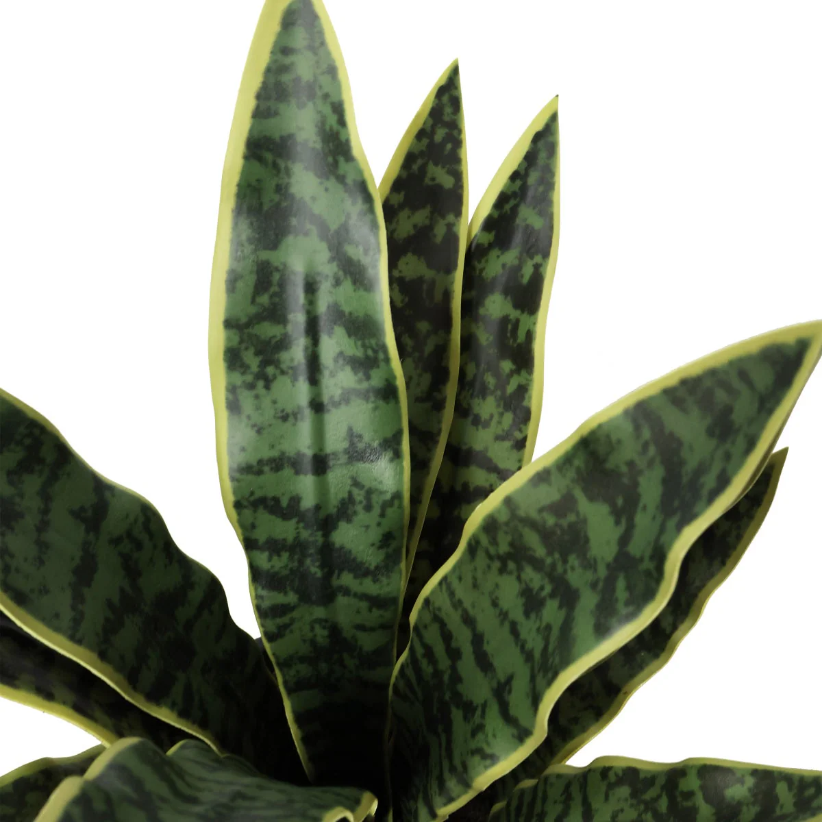 Faux Decorative Plant Trio - Image 6