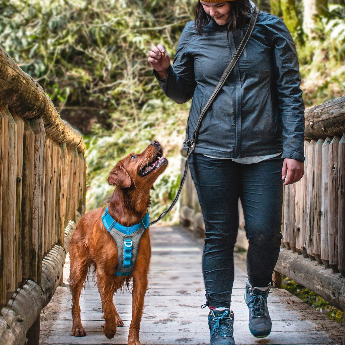 Kurgo Journey Air Harness and Quantum 6-in1 Leash Bundle, Small - Image 2