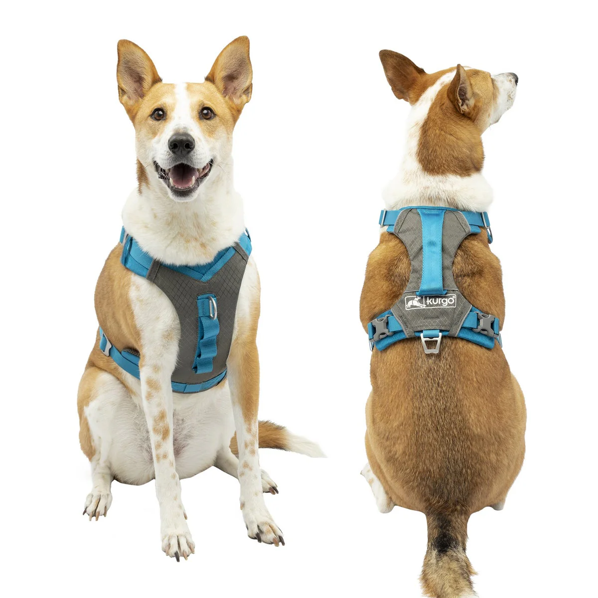 Kurgo Journey Air Harness and Quantum 6-in1 Leash Bundle, Small - Image 7