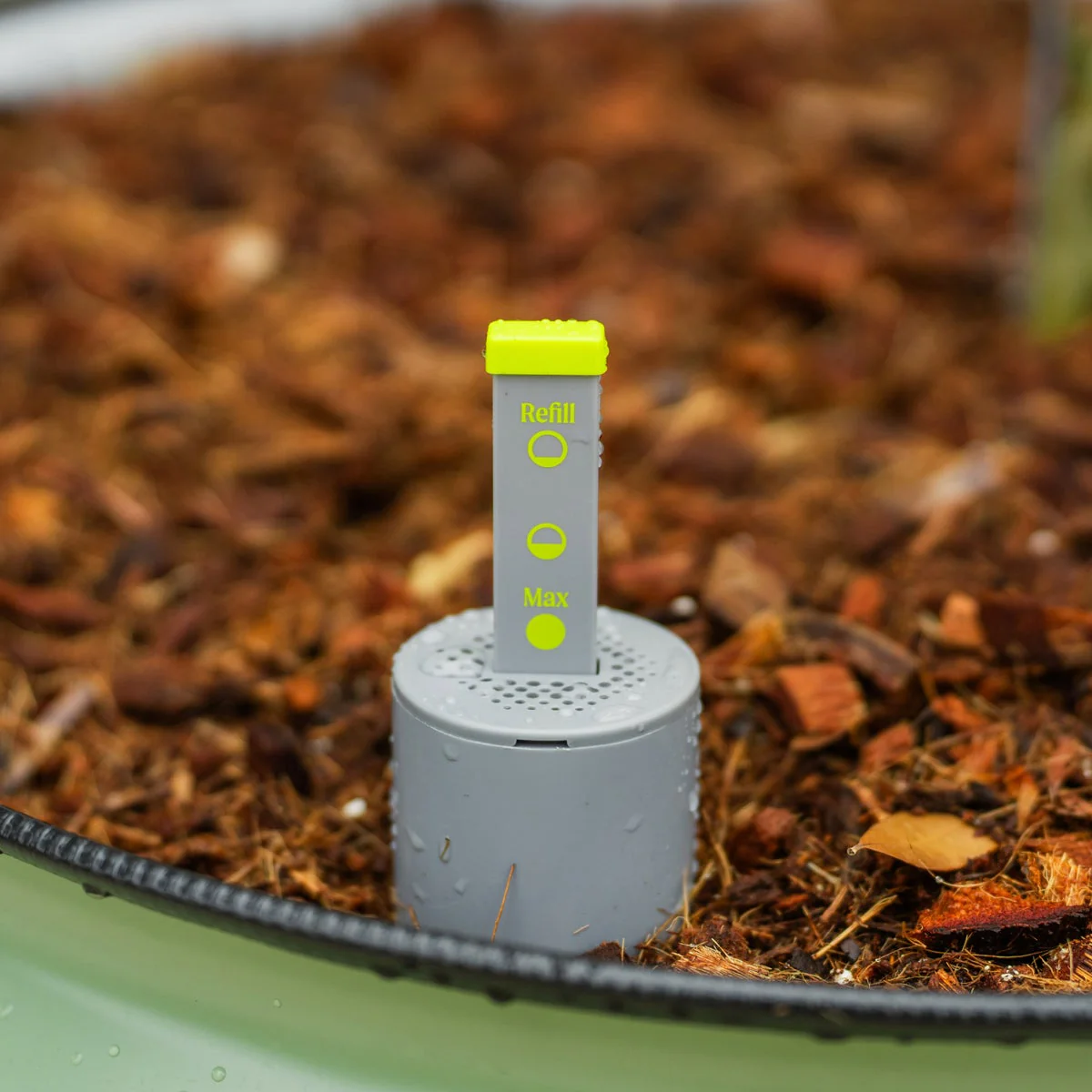 NEW - Vego Garden Self-Watering Rolling Citrus Tree Planter - Image 7