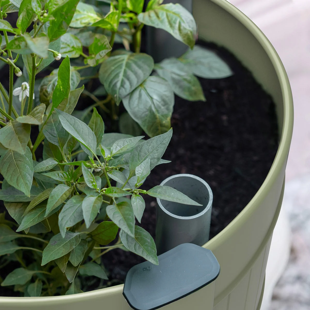Permasteel Elevated Garden Bed With Casters - Image 4