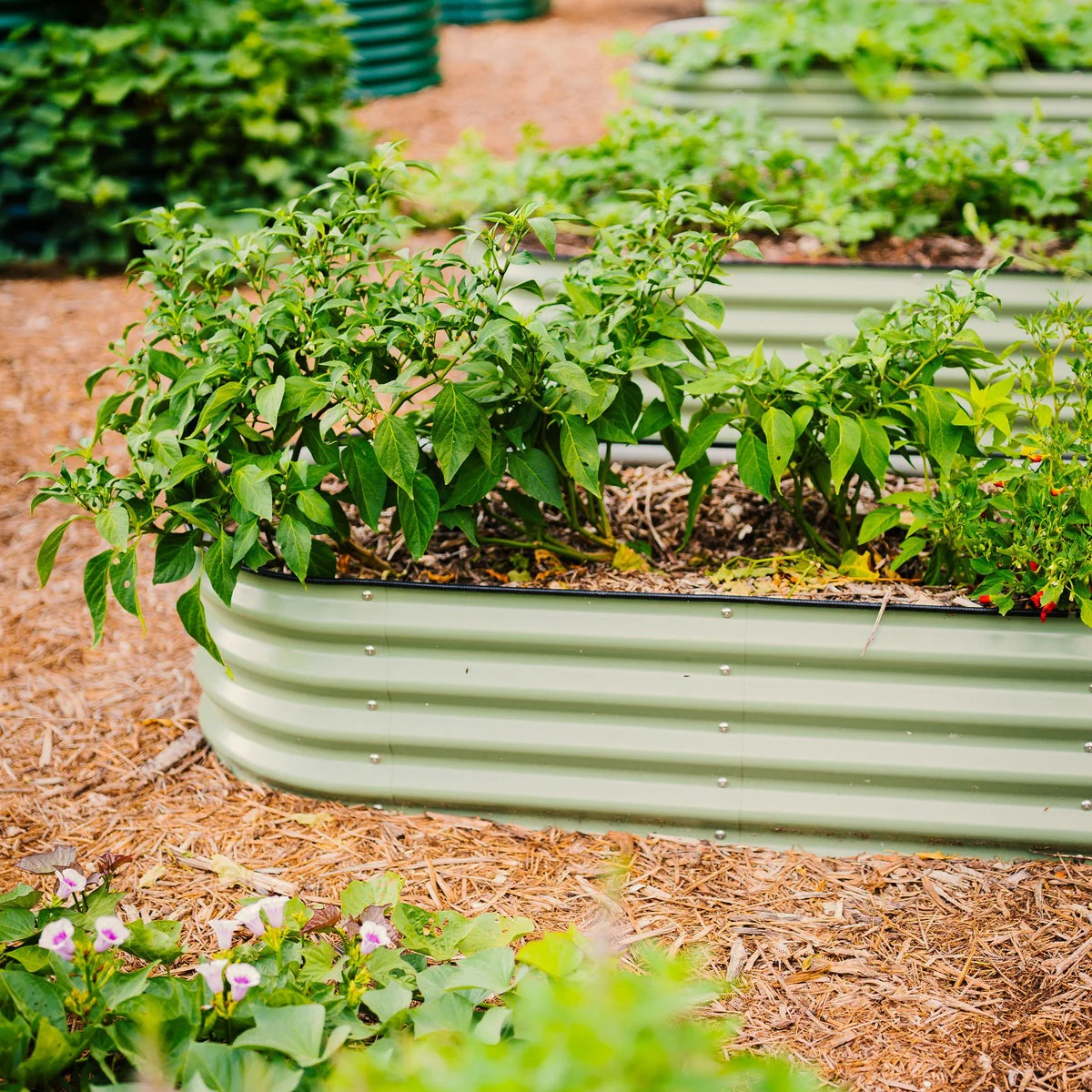 Vego Garden 14” Tall 9 in 1 Modular Metal Raised Garden Bed Kit - Image 4