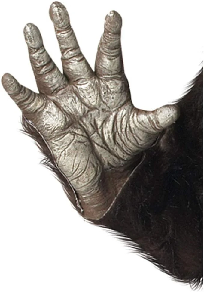 NEW - California Costumes - Adult Big Foot Costume Standard - Retail $125 - Image 3