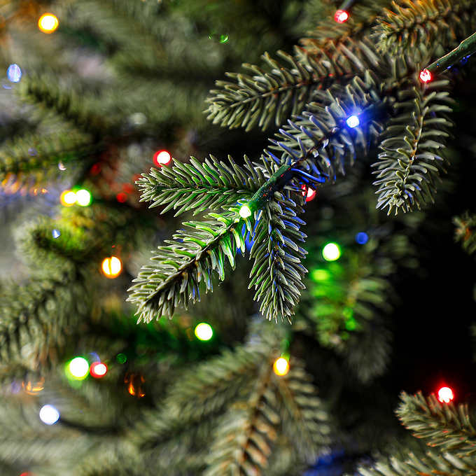 Costco - 7.5′ Pre-Lit Radiant Micro LED Artificial Christmas Tree - Retail $479 - Image 5