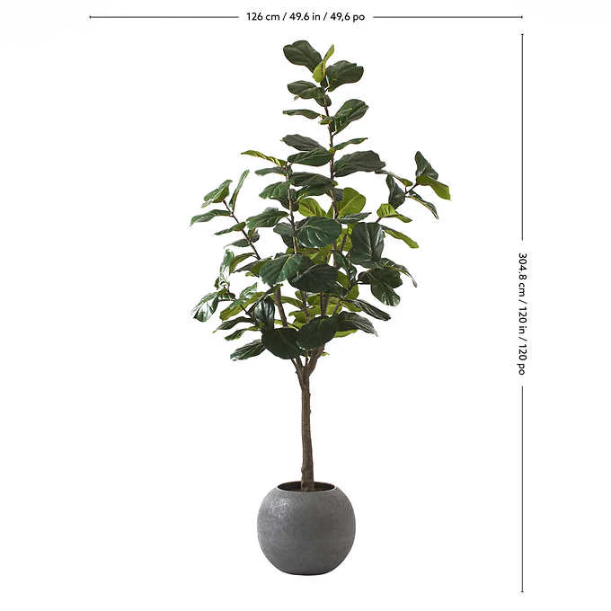 Costco - Artificial 3.05 m (10 ft.) Fiddle Leaf Fig Tree with Planter - Retail $379 - Image 10