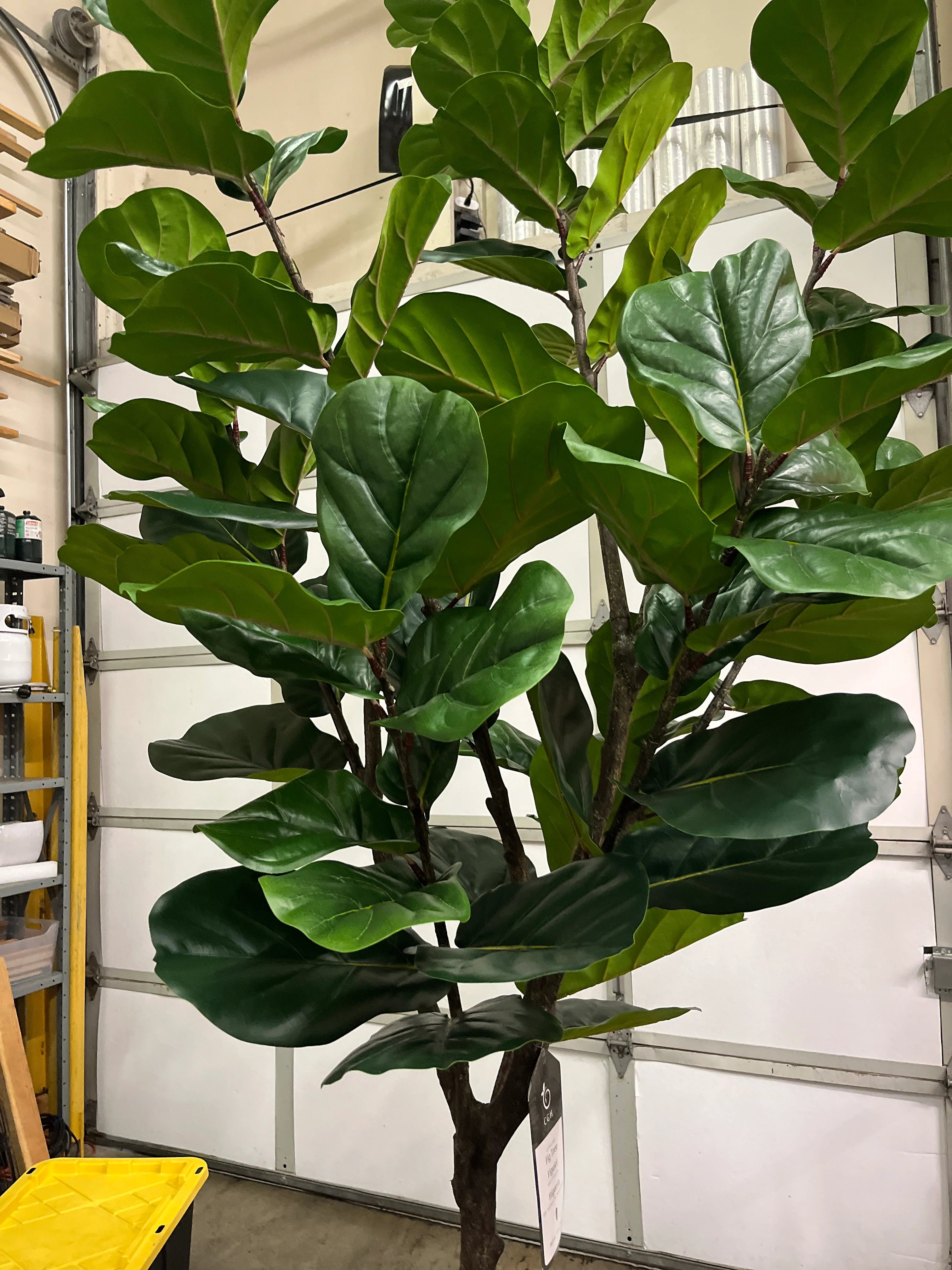 Costco - Artificial 3.05 m (10 ft.) Fiddle Leaf Fig Tree with Planter - Retail $379 - Image 6
