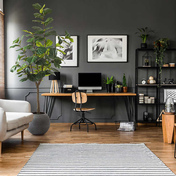 Costco - Artificial 3.05 m (10 ft.) Fiddle Leaf Fig Tree with Planter - Retail $379 - Image 8
