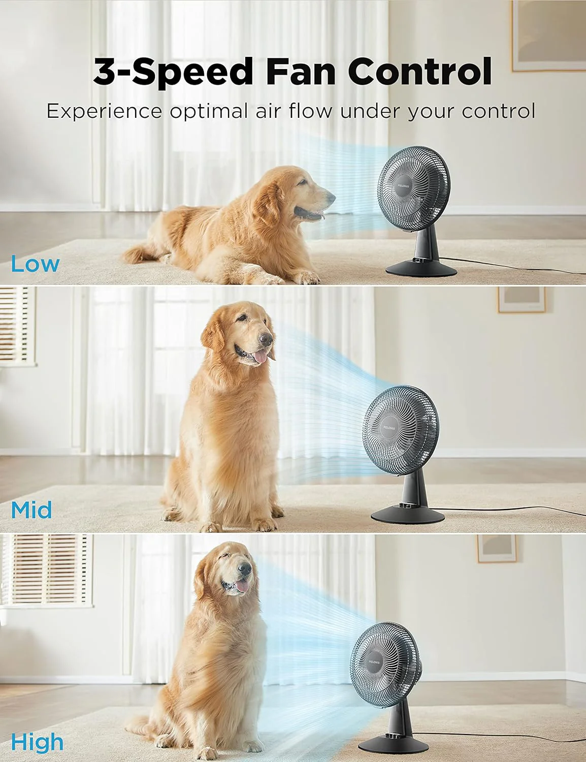 NEW - PELONIS Table Fan 12-Inch Oscillating Table Fan Small Portable Electric Plug-In Desk Fan 3-Speeds Adjustable Tilt Head for Bedroom and Office Black - Retail $29 - Image 5