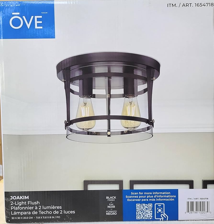 Joakim 2-Light Flush Mount Ceiling Light - Retail $99
