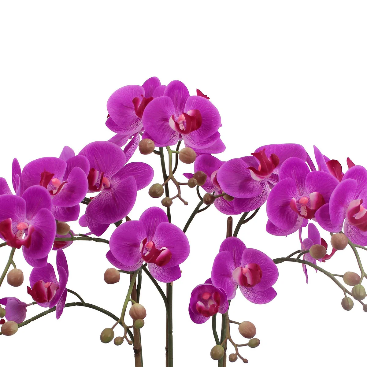Faux 24” Phalaenopsis Orchid - Image 2