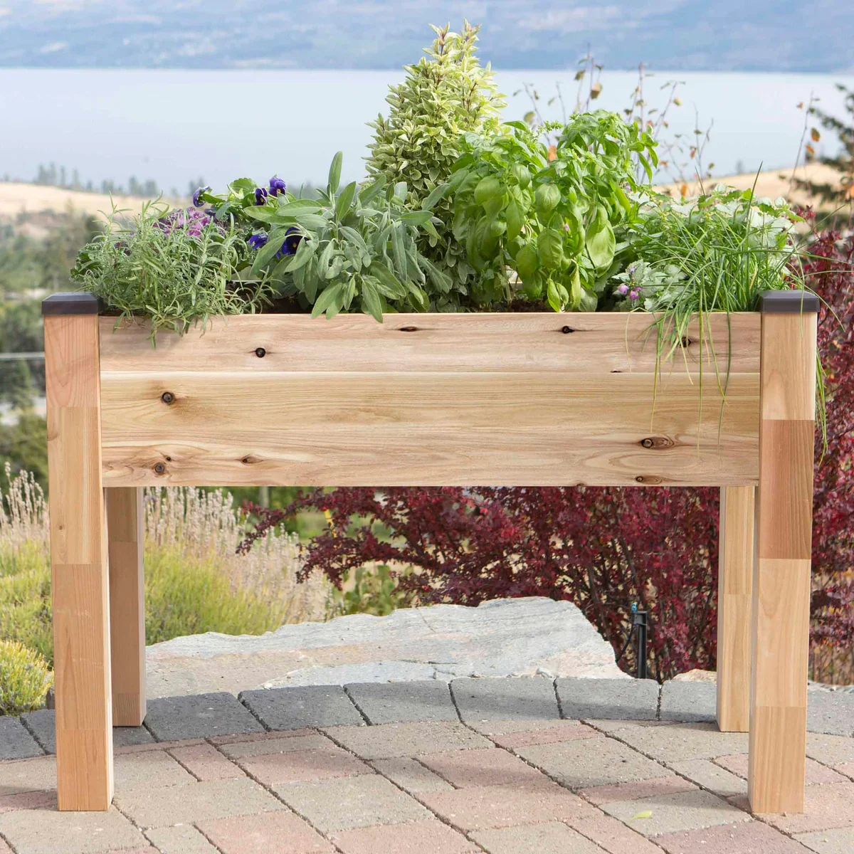 NEW - CedarCraft Elevated Cedar Planter 34in x 49in x 30in - Image 2