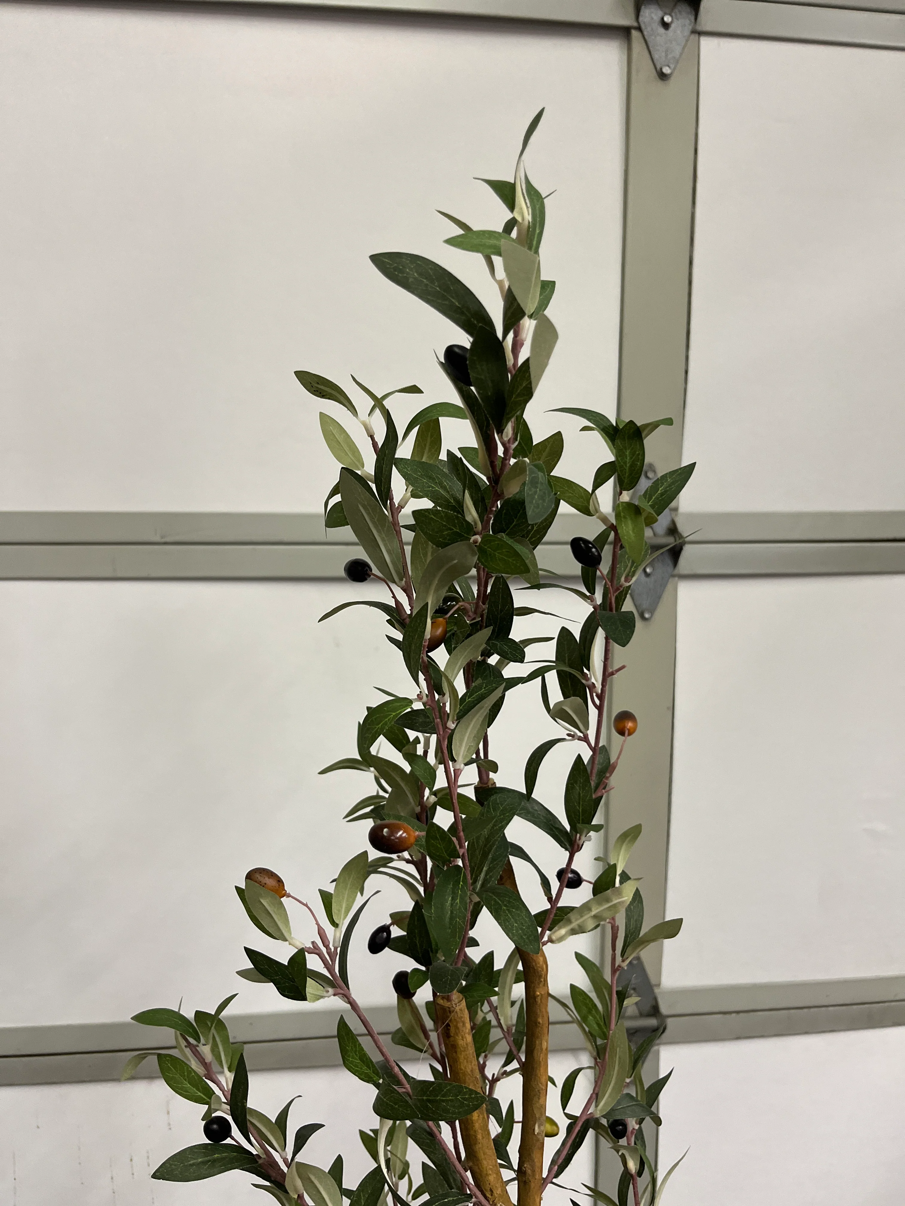 Nearly Natural 82 in Olive Artificial Silk Trees Green - Retail $166 - Image 5