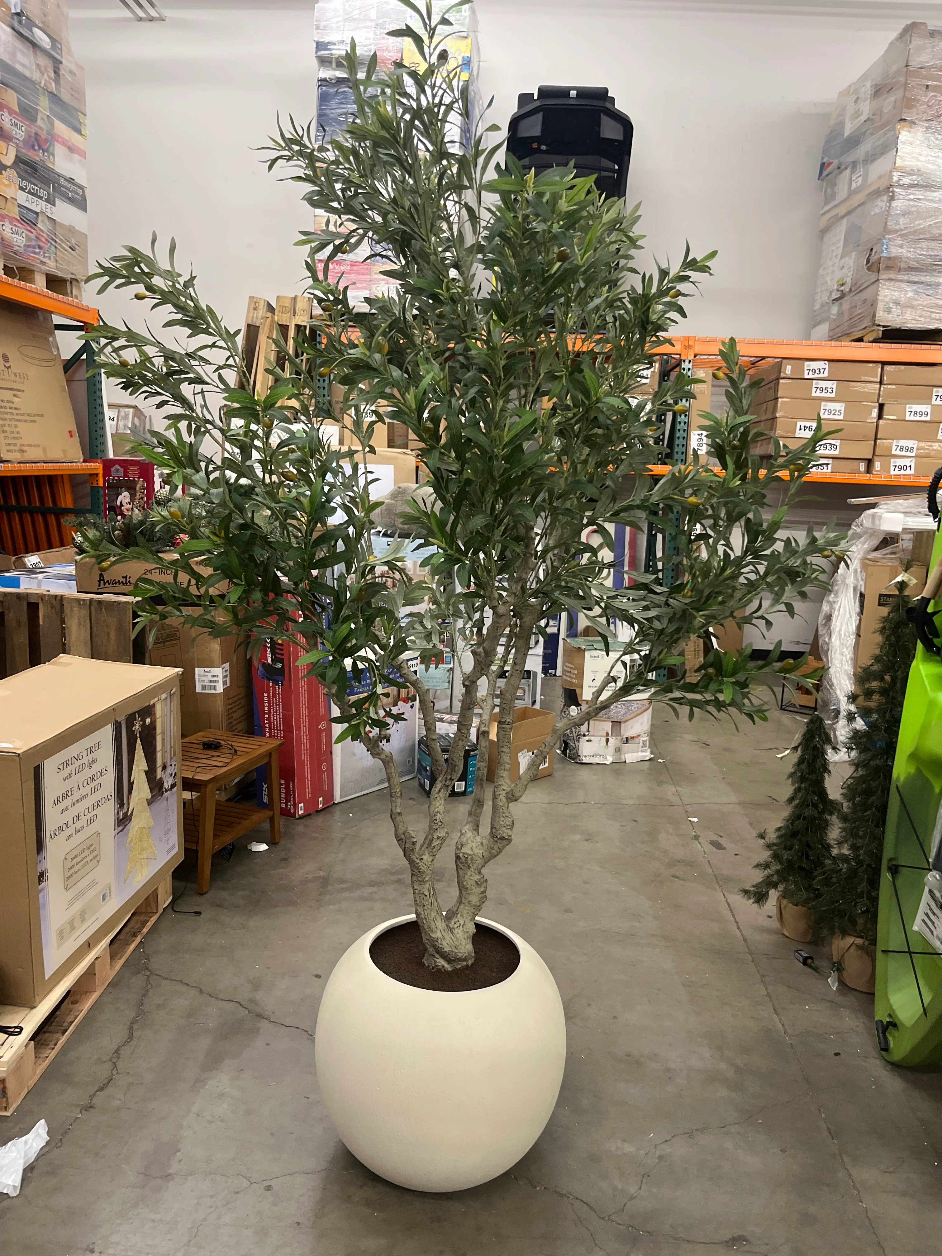 Costco - Faux 8’ Olive Tree - Retail $499 - Image 7