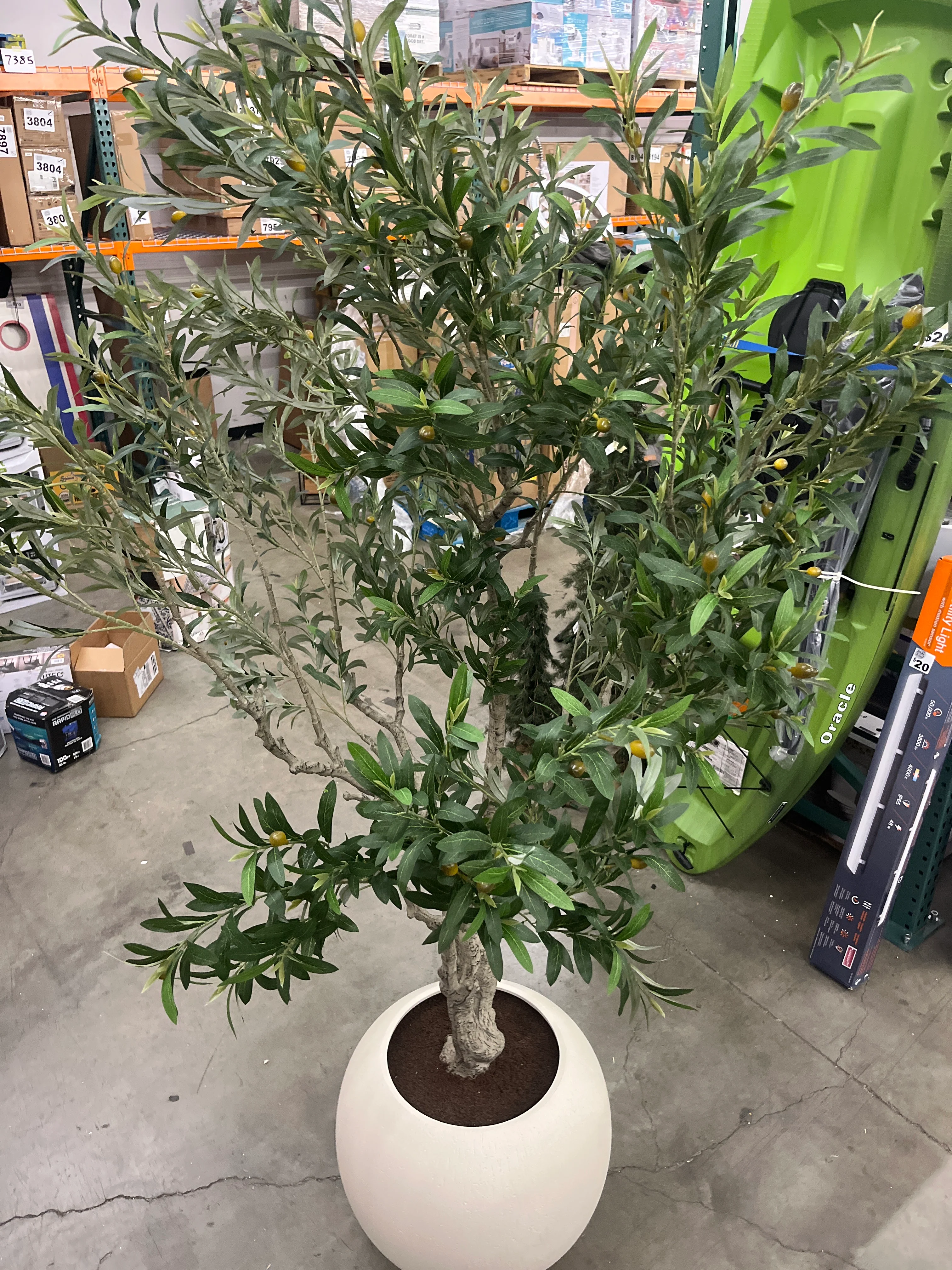 Costco - Faux 8’ Olive Tree - Retail $499 - Image 8