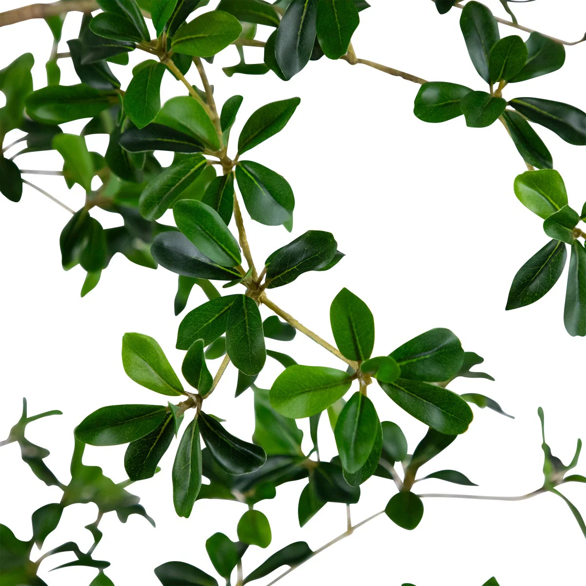 Faux 8' Quince Tree - Image 3