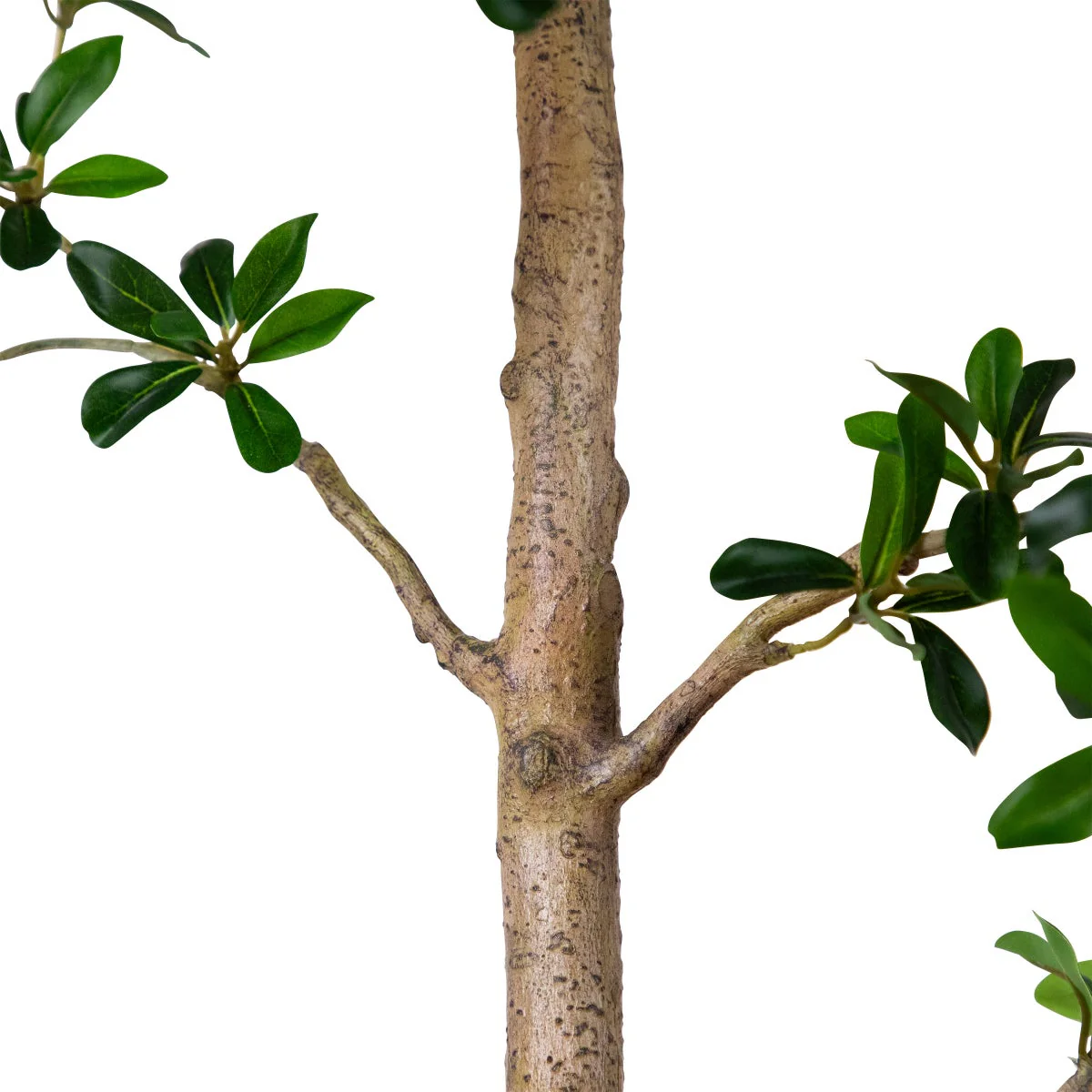 Faux 8' Quince Tree - Image 4