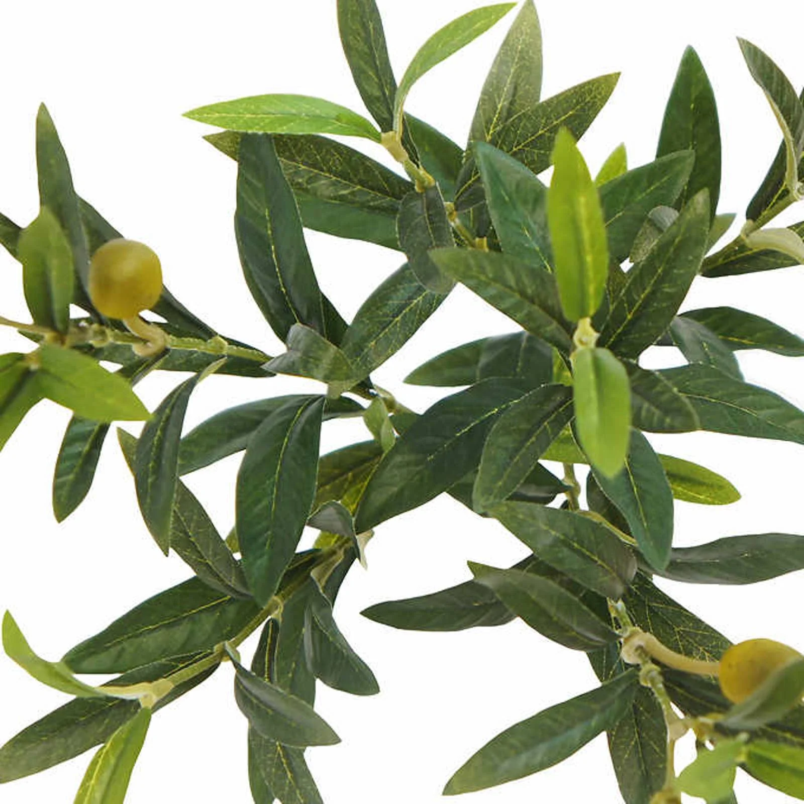 Like NEW - Costco - Faux 6.5' Olive Tree - Retail $179 - Image 3