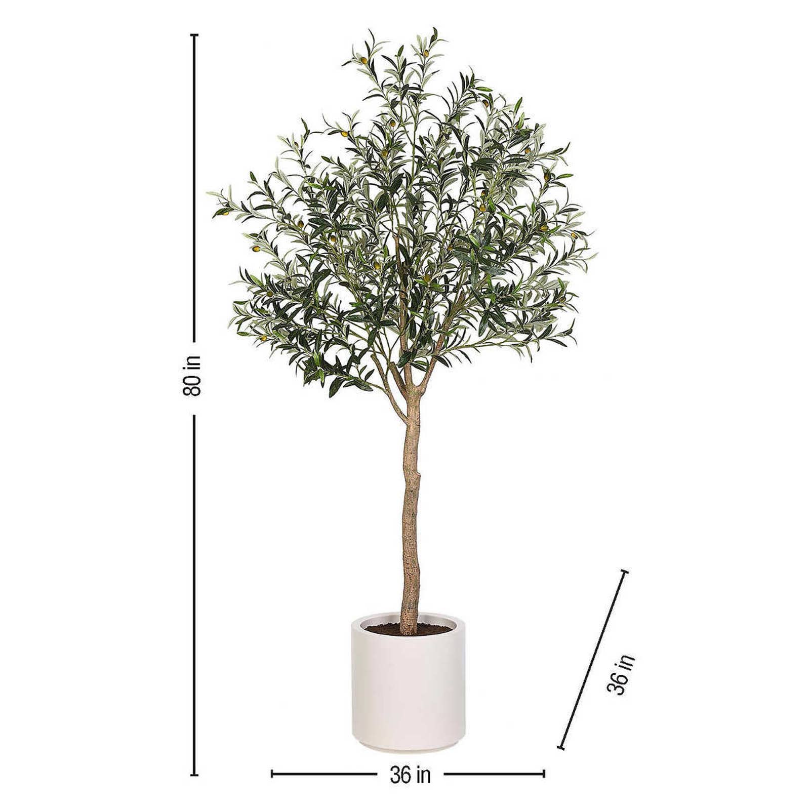 Like NEW - Costco - Faux 6.5' Olive Tree - Retail $179 - Image 4