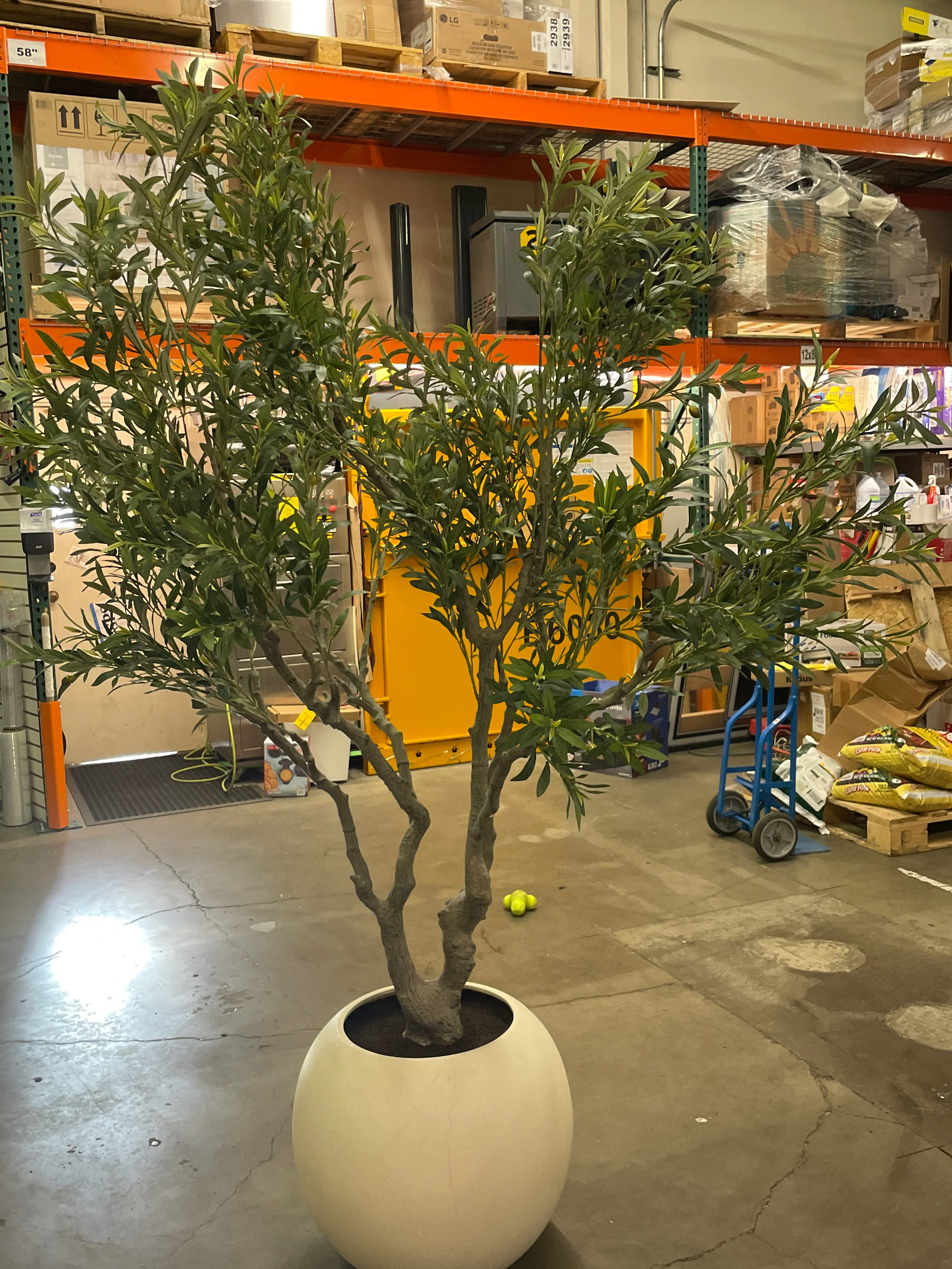 Like NEW - Costco - Faux 8’ Olive Tree - Retail $499 - Image 9