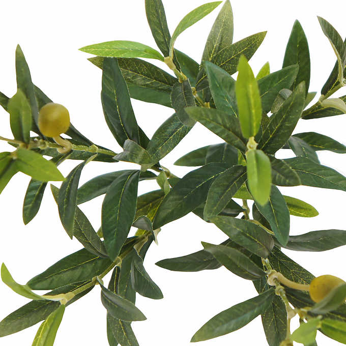 NEW - Costco - Faux 6.5' Olive Tree - Retail $179 - Image 3