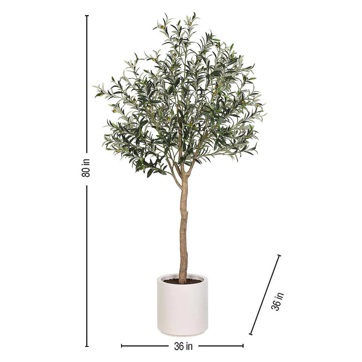 NEW - Costco - Faux 6.5' Olive Tree - Retail $179 - Image 4
