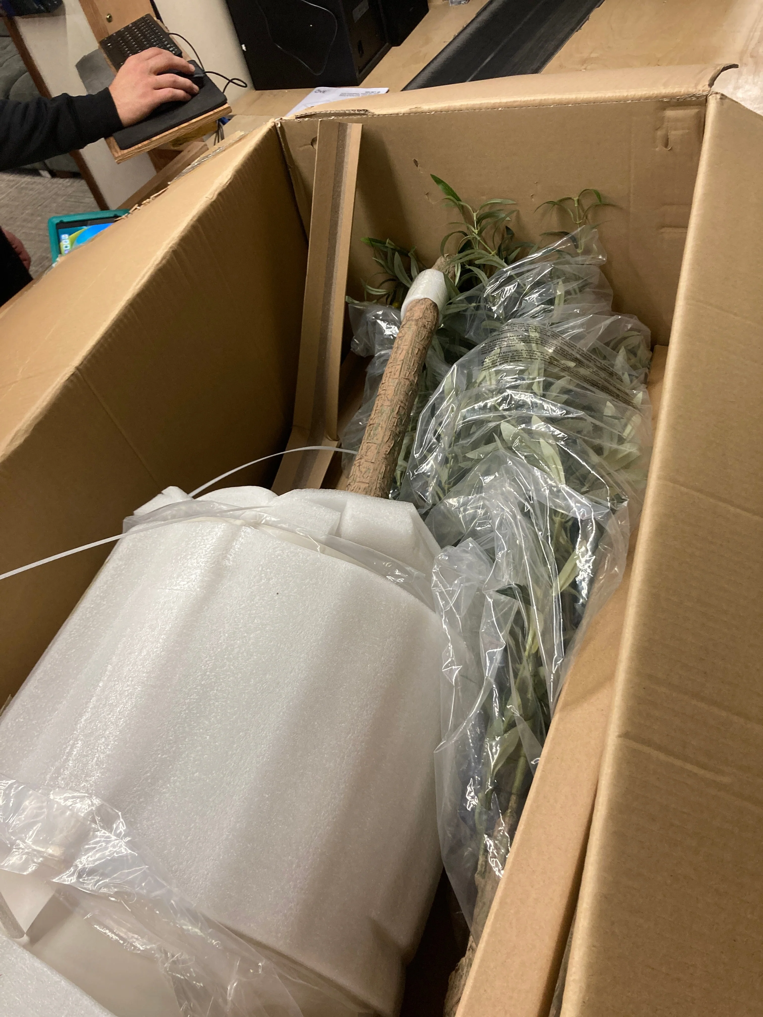 NEW - Costco - Faux 6.5' Olive Tree - Retail $179 - Image 5
