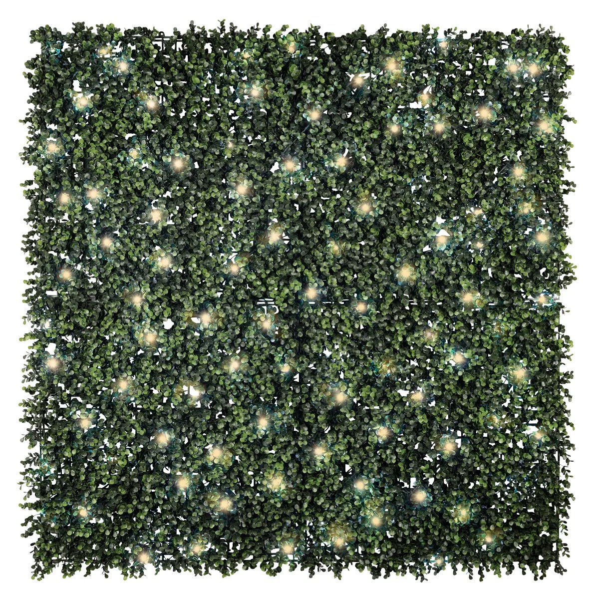 Golden Select American Boxwood Artificial Hedge Panel with Lights