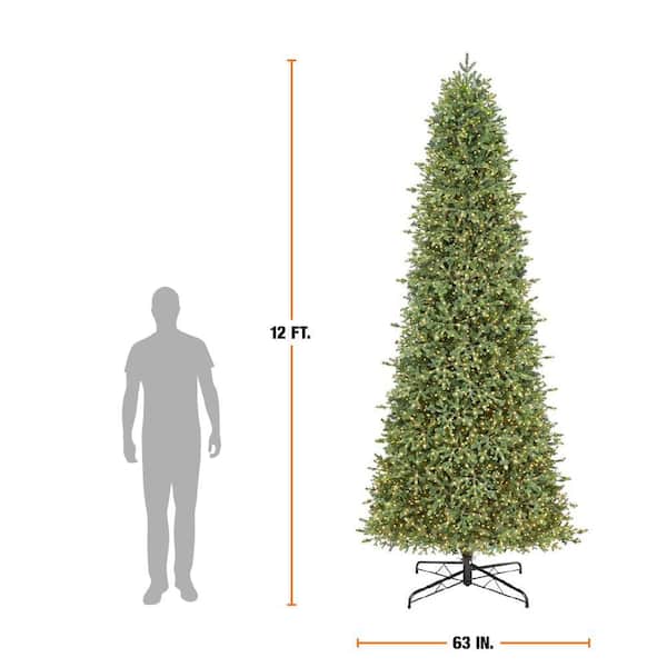 Home Decorators Collection 12 ft. Elegant Twinkling Grand Fir LED Pre-Lit Artificial Christmas Tree with Timer - Image 3