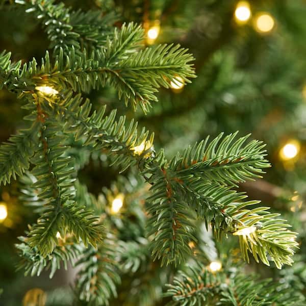 Home Decorators Collection 12 ft. Elegant Twinkling Grand Fir LED Pre-Lit Artificial Christmas Tree with Timer - Image 5