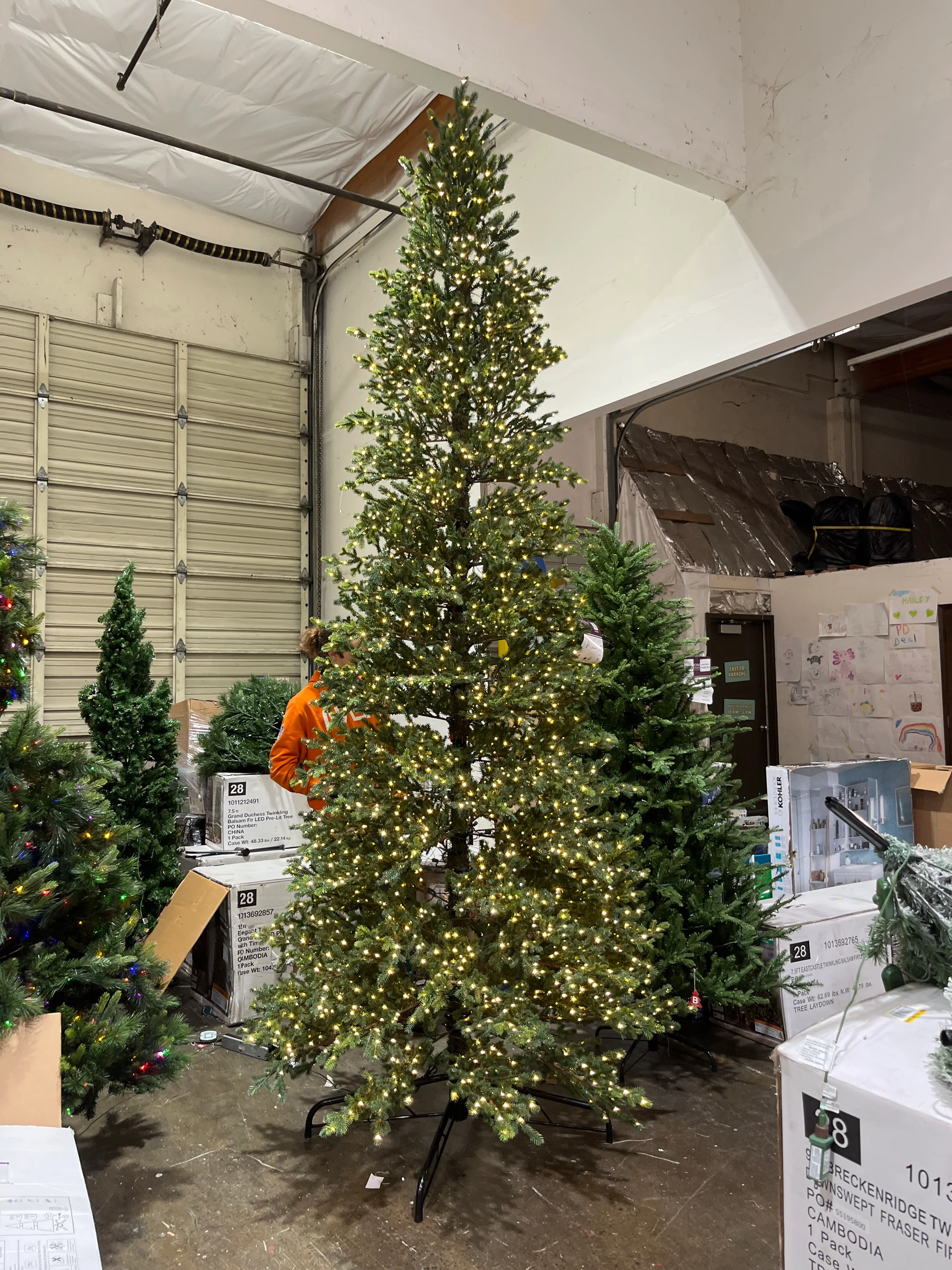 Home Decorators Collection 12 ft. Elegant Twinkling Grand Fir LED Pre-Lit Artificial Christmas Tree with Timer - Image 6