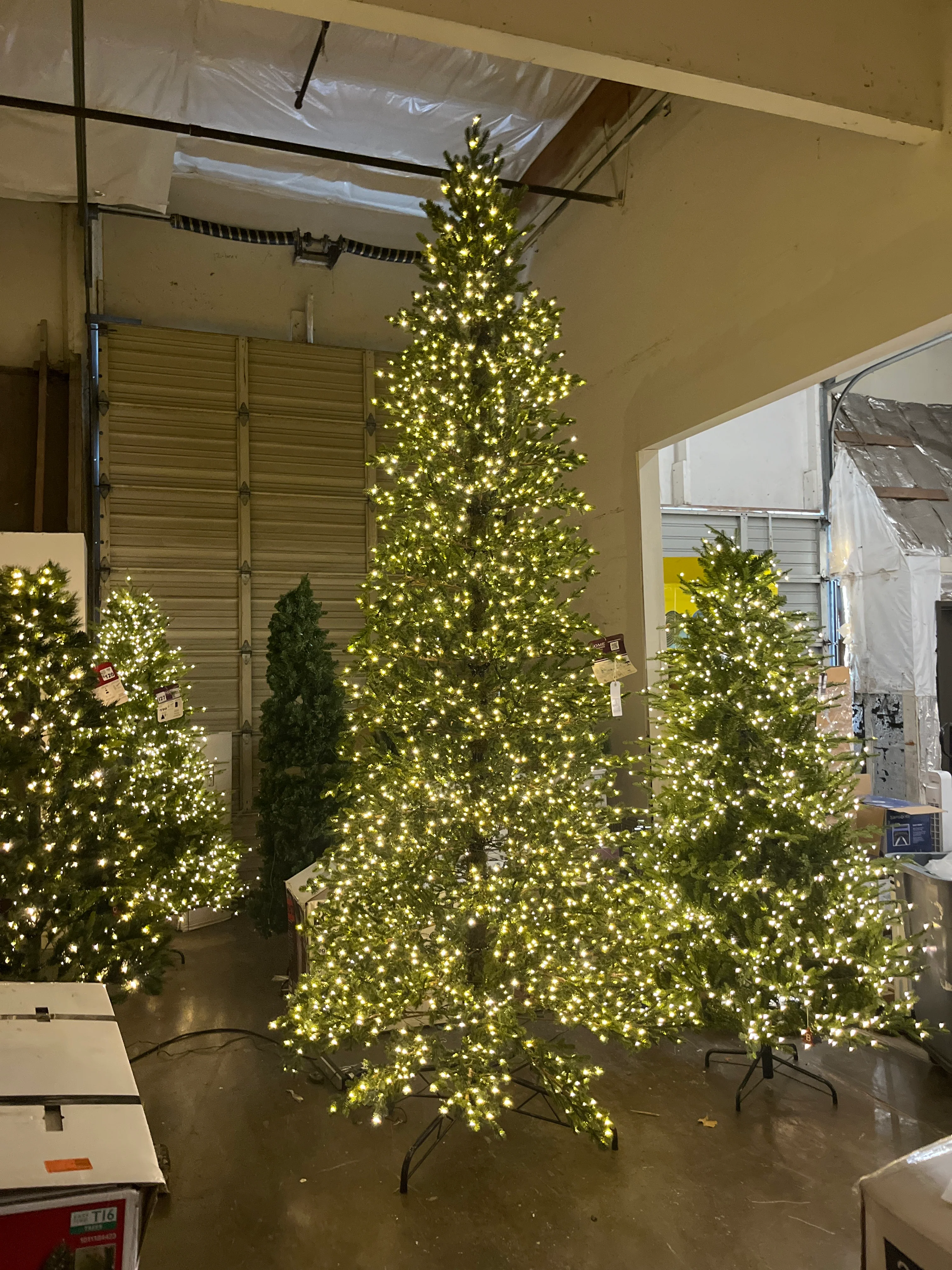 Home Decorators Collection 12 ft. Elegant Twinkling Grand Fir LED Pre-Lit Artificial Christmas Tree with Timer - Image 8