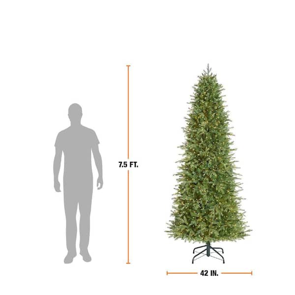Home Decorators Collection 7.5 ft. Grand Duchess Twinkling Balsam Fir Slim LED Pre-Lit Artificial Christmas Tree T25 - Image 4