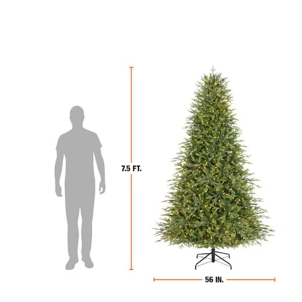 7.5 ft. Breckenridge Twinkling Adaptive Lighting Downswept Fraser Fir LED Pre-Lit Christmas Tree T29 - Image 3