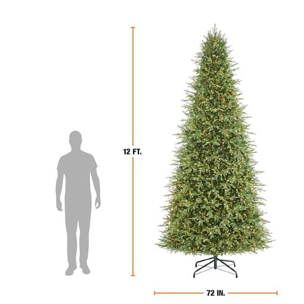 Home Decorators Collection 12 ft. Grand Duchess Twinkling Balsam Fir LED Pre-Lit Artificial Christmas Tree T37 - Image 4